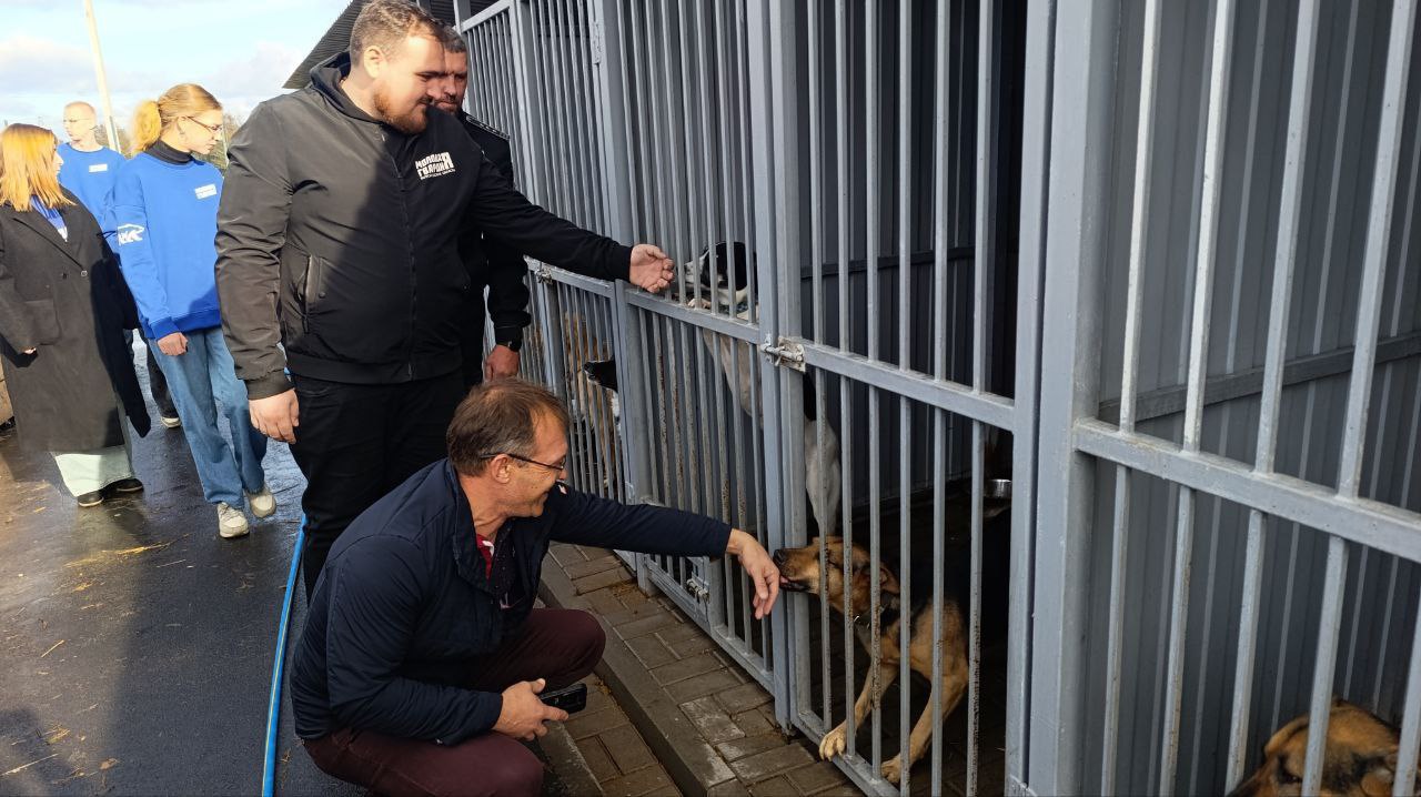 Олег Медведев: Сегодня Молодогвардейцы совместно с Экоохотнадзором Белгородской области в рамках Федерального партийного проекта «Защита Животного Мира» оказали гуманитарную помощь Яковлевскому приюту запасом корма Олег Медведев: Сегодня Молодогвардейцы совместно с Экоохотнадзором Белгородской области в рамках Федерального партийного проекта «Защита Животного Мира» оказали гуманитарную помощь Яковлевскому приюту запасом корма