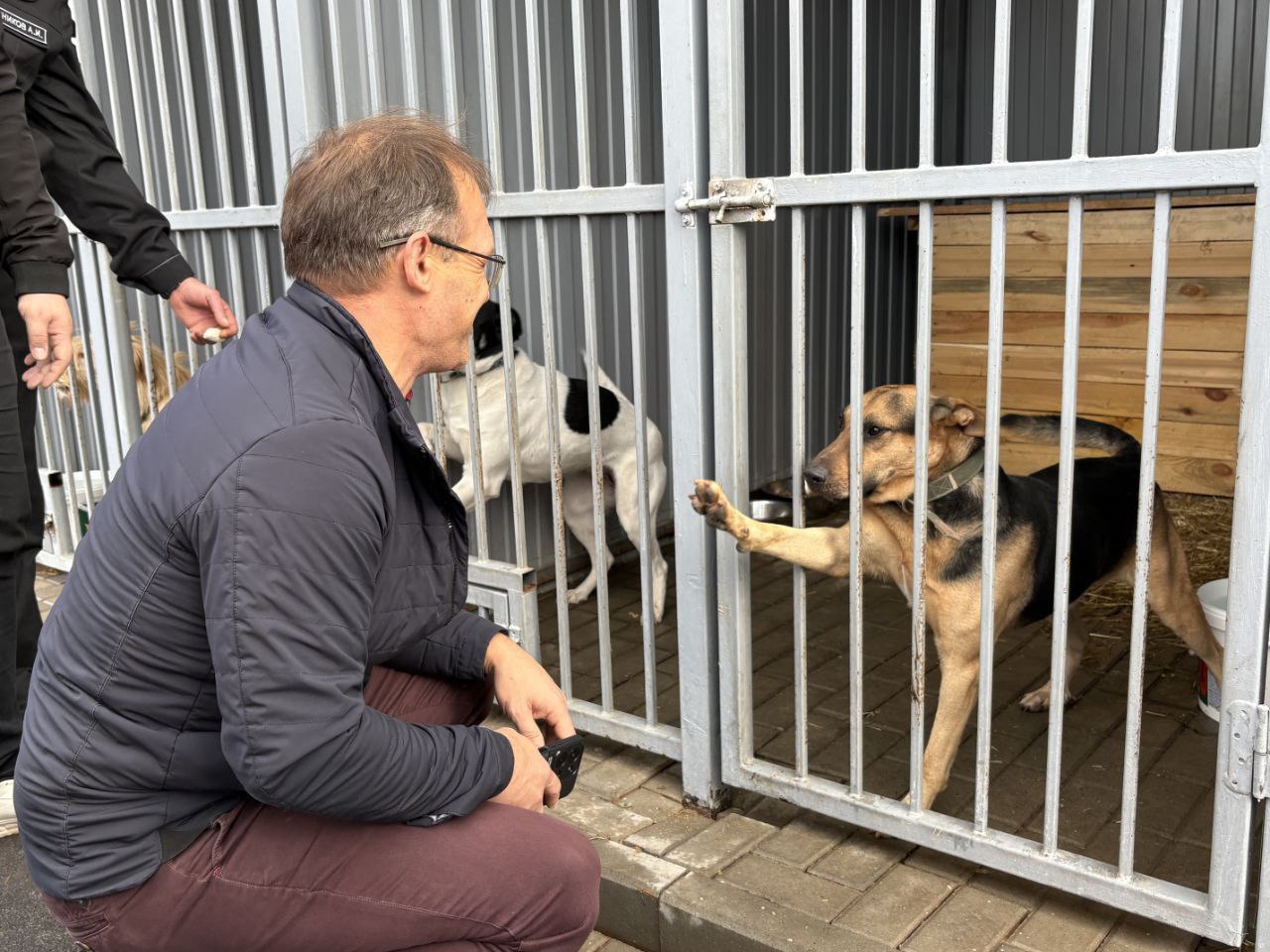 Олег Медведев: Сегодня Молодогвардейцы совместно с Экоохотнадзором Белгородской области в рамках Федерального партийного проекта «Защита Животного Мира» оказали гуманитарную помощь Яковлевскому приюту запасом корма Олег Медведев: Сегодня Молодогвардейцы совместно с Экоохотнадзором Белгородской области в рамках Федерального партийного проекта «Защита Животного Мира» оказали гуманитарную помощь Яковлевскому приюту запасом корма