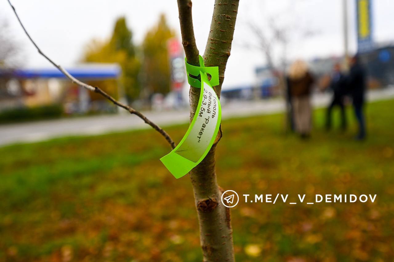 Валентин Демидов: Облик города формирует его ландшафт и озеленение Валентин Демидов: Облик города формирует его ландшафт и озеленение