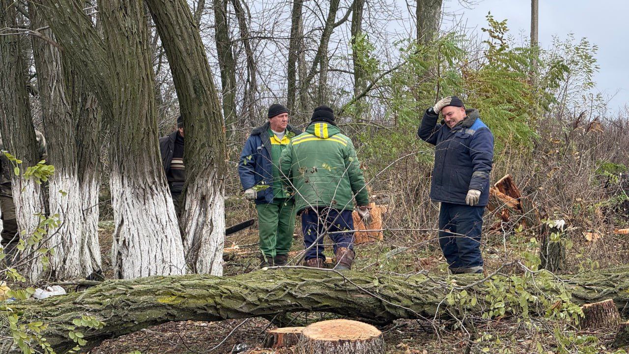В области продолжается заготовка древесины, чтобы в случае ЧС обеспечить частные дома с печным отоплением В области продолжается заготовка древесины, чтобы в случае ЧС обеспечить частные дома с печным отоплением