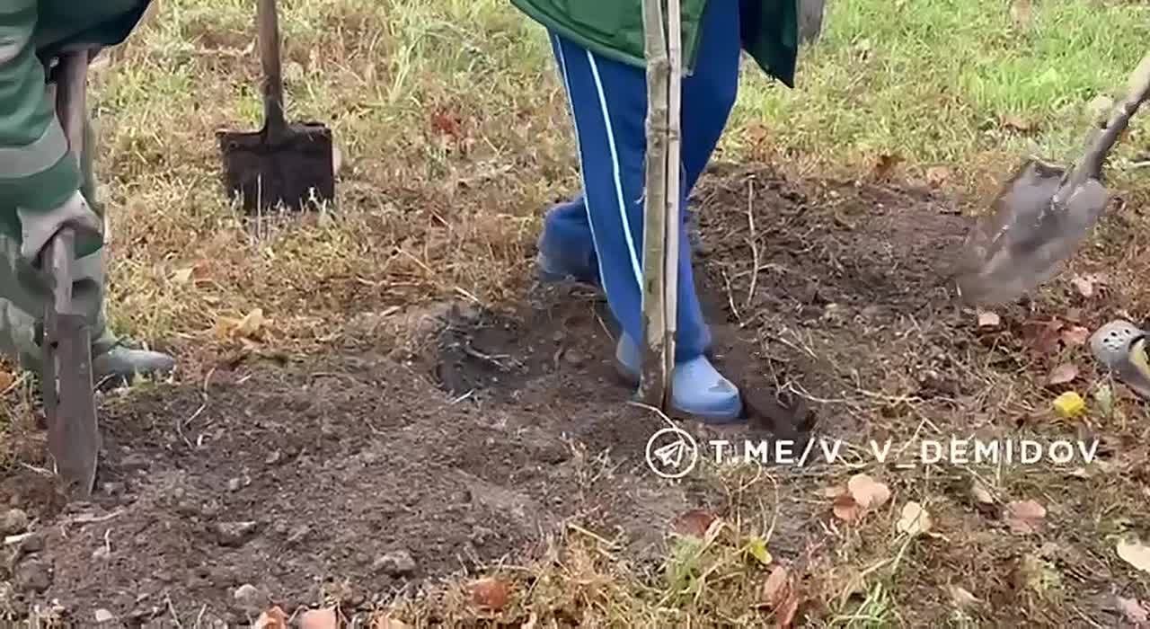 Валентин Демидов: Облик города формирует его ландшафт и озеленение