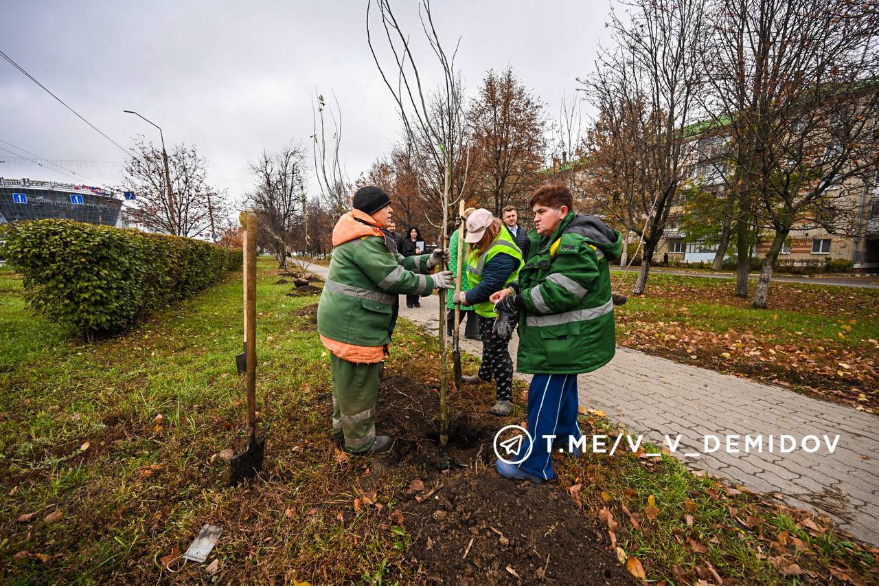 Валентин Демидов: Облик города формирует его ландшафт и озеленение Валентин Демидов: Облик города формирует его ландшафт и озеленение