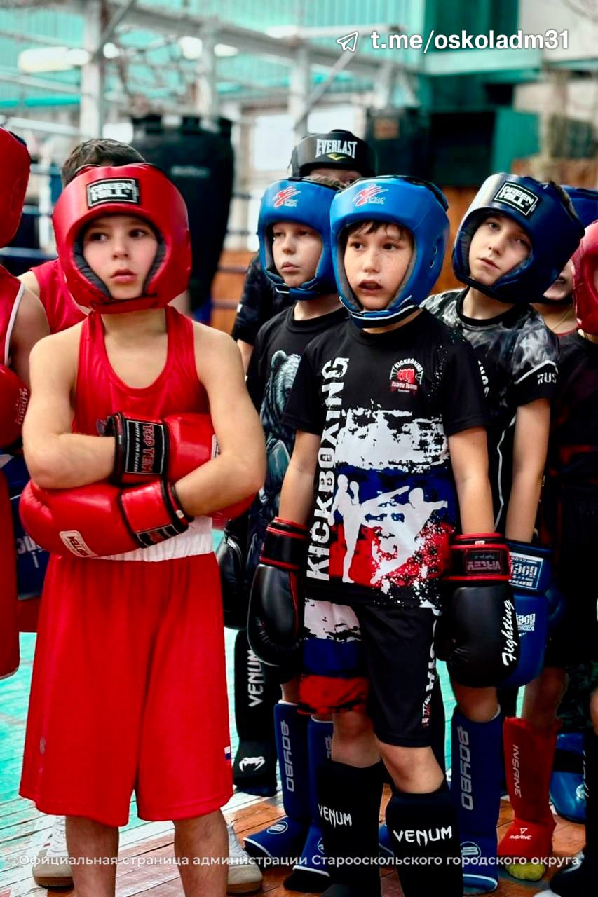 Вместе – к победе!. На базе физкультурно-оздоровительного комплекса Школы олимпийского резерва «Молодость» прошла совместная тренировка кикбоксёров и боксёров из Старого Оскола, Белгорода и Нового Оскола Вместе – к победе!. На базе физкультурно-оздоровительного комплекса Школы олимпийского резерва «Молодость» прошла совместная тренировка кикбоксёров и боксёров из Старого Оскола, Белгорода и Нового Оскола