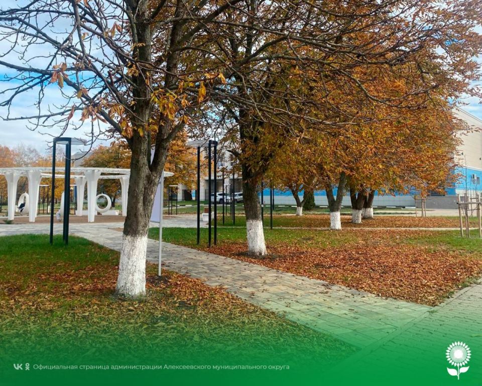 30 октября. Температура воздуха 11°C, пасмурно, без осадков