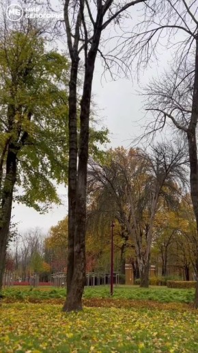 «Осень! Осыпается весь наш бедный сад