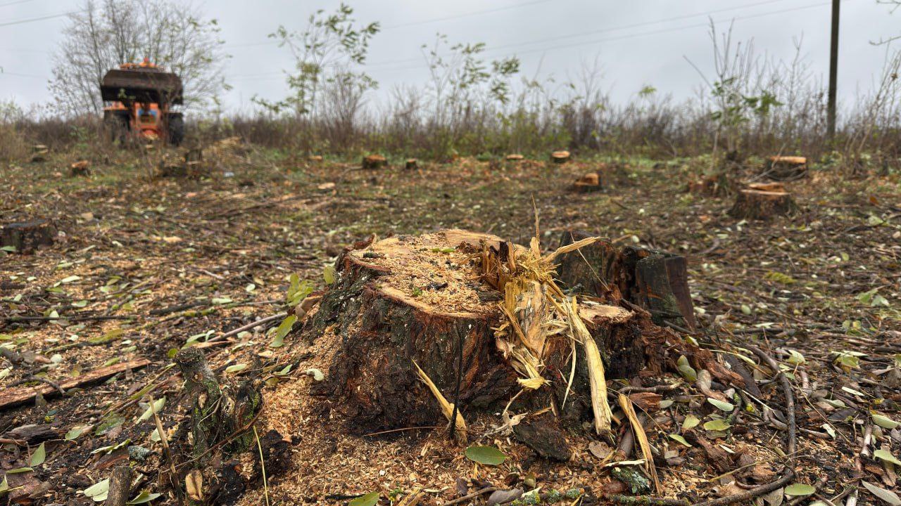 В области продолжается заготовка древесины, чтобы в случае ЧС обеспечить частные дома с печным отоплением В области продолжается заготовка древесины, чтобы в случае ЧС обеспечить частные дома с печным отоплением