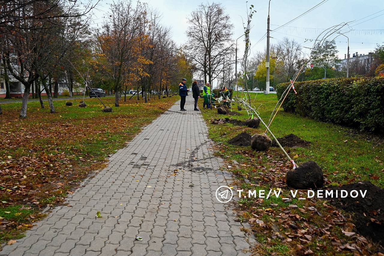 Валентин Демидов: Облик города формирует его ландшафт и озеленение Валентин Демидов: Облик города формирует его ландшафт и озеленение