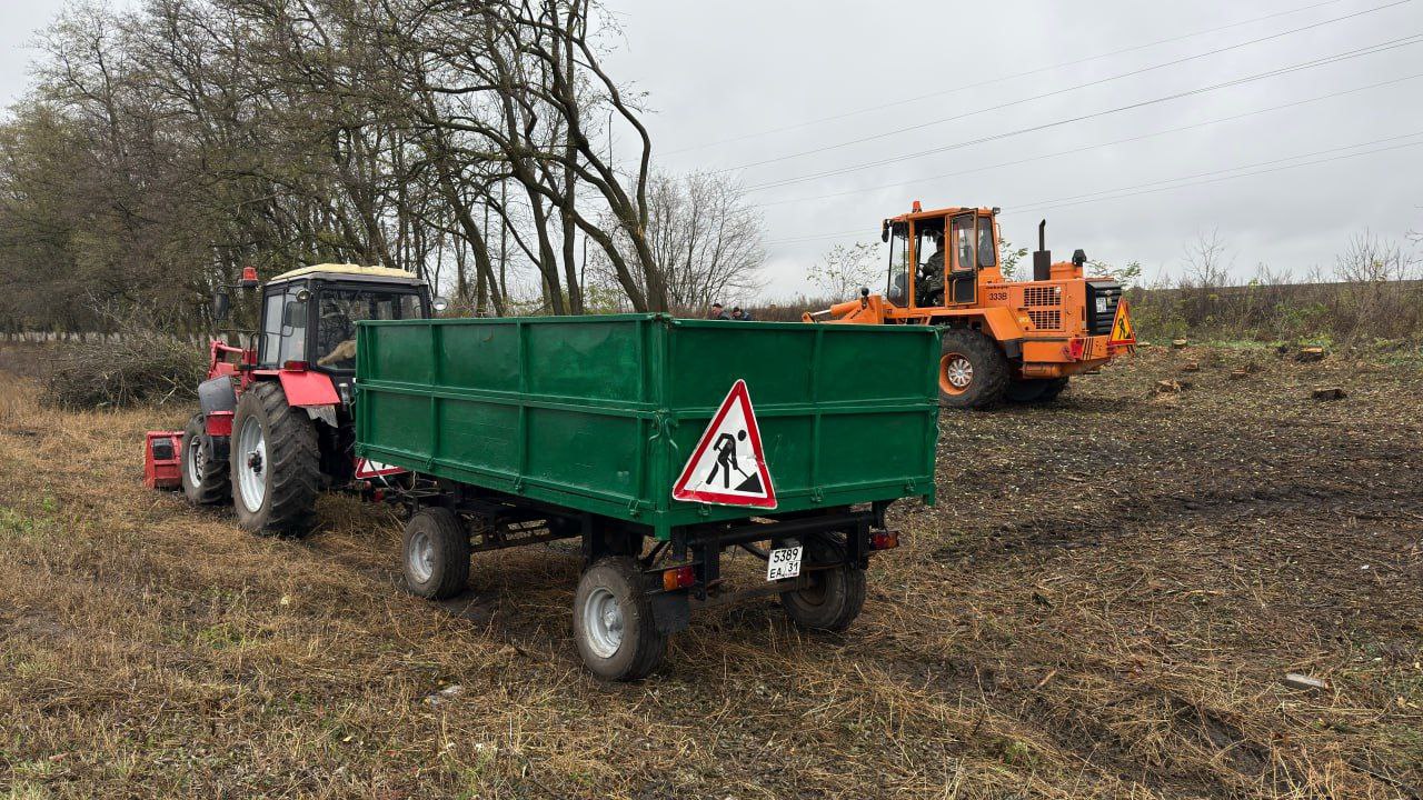 В области продолжается заготовка древесины, чтобы в случае ЧС обеспечить частные дома с печным отоплением В области продолжается заготовка древесины, чтобы в случае ЧС обеспечить частные дома с печным отоплением