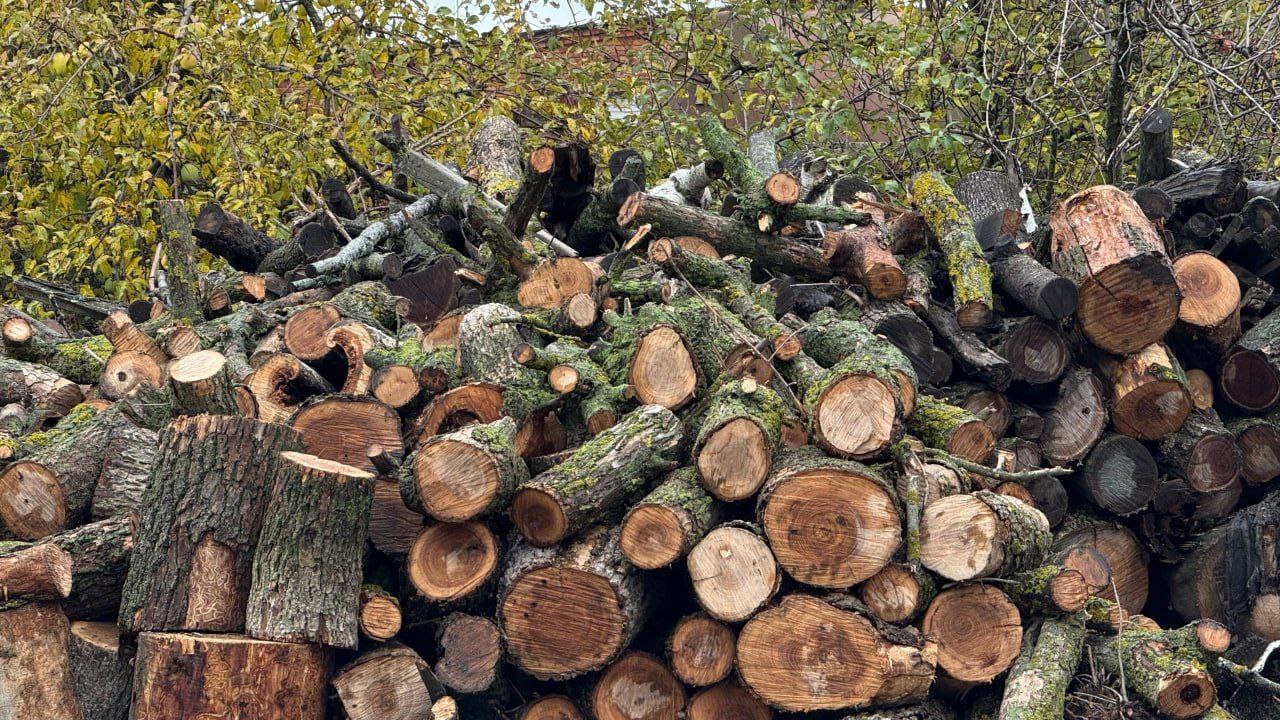 В области продолжается заготовка древесины, чтобы в случае ЧС обеспечить частные дома с печным отоплением В области продолжается заготовка древесины, чтобы в случае ЧС обеспечить частные дома с печным отоплением