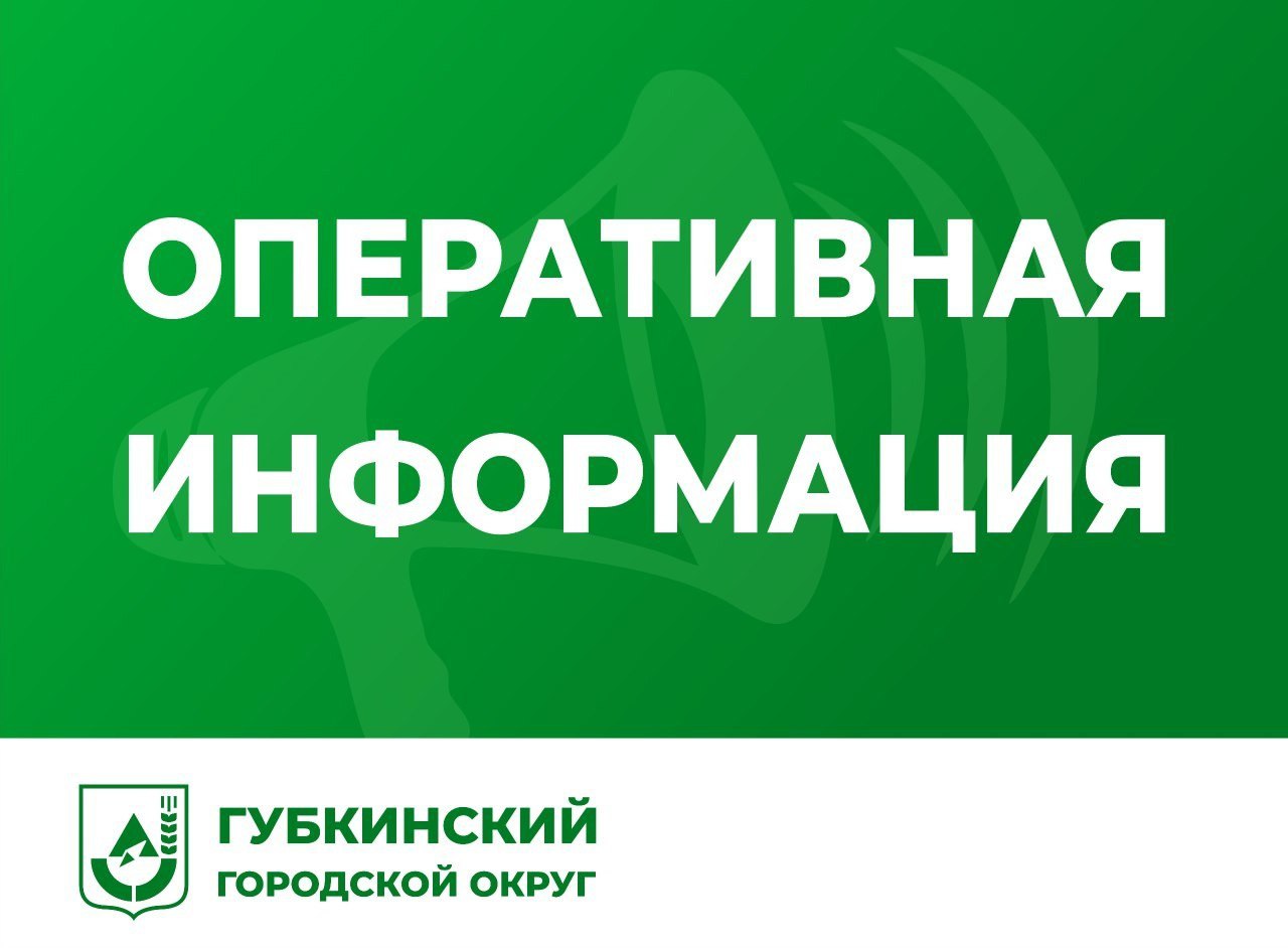 Михаил Лобазнов: За прошедшие сутки над нашим округом системой ПВО сбит один БПЛА самолётного типа