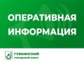 Михаил Лобазнов: За прошедшие сутки над нашим округом системой ПВО сбит один БПЛА самолётного типа