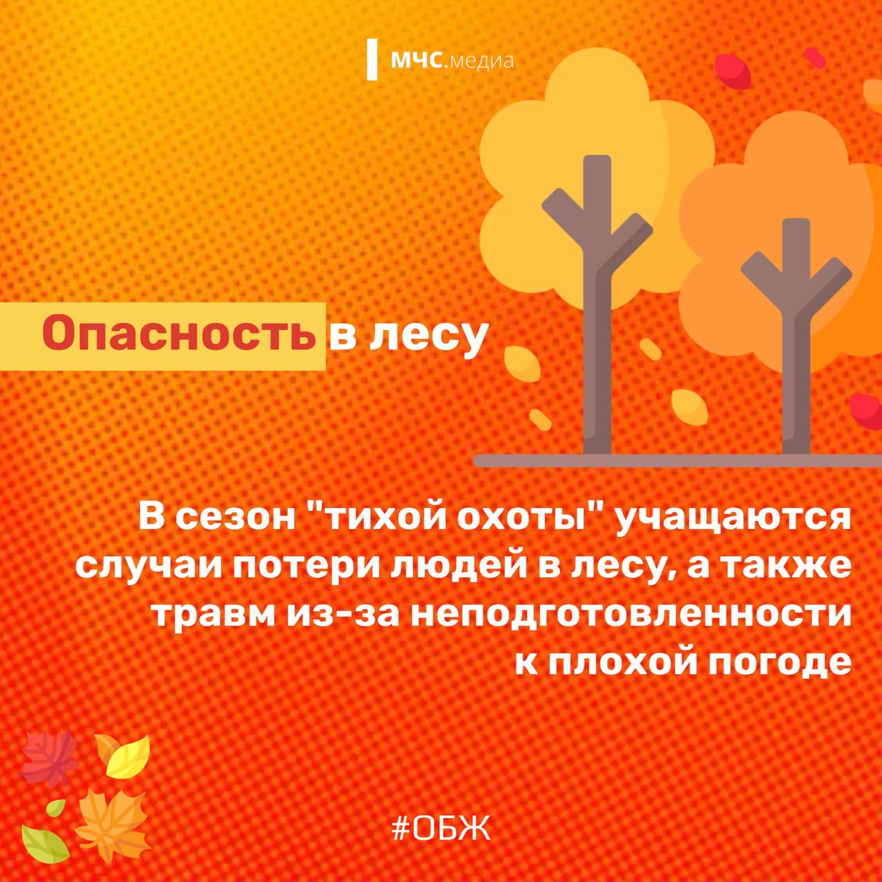 Осень – самая живописная и красивая пора года Осень – самая живописная и красивая пора года