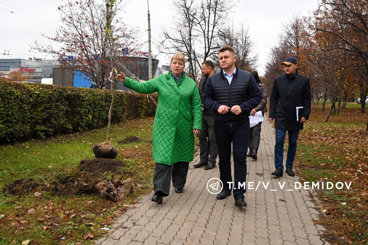 Облик города формирует его ландшафт и озеленение Облик города формирует его ландшафт и озеленение