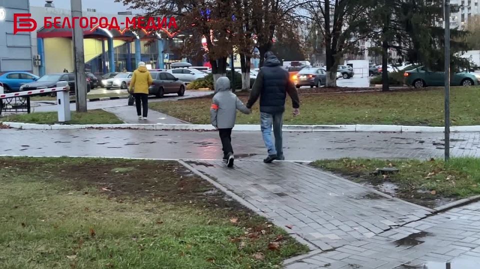 В последнее время в Белгороде участились ДТП с участием пешеходов