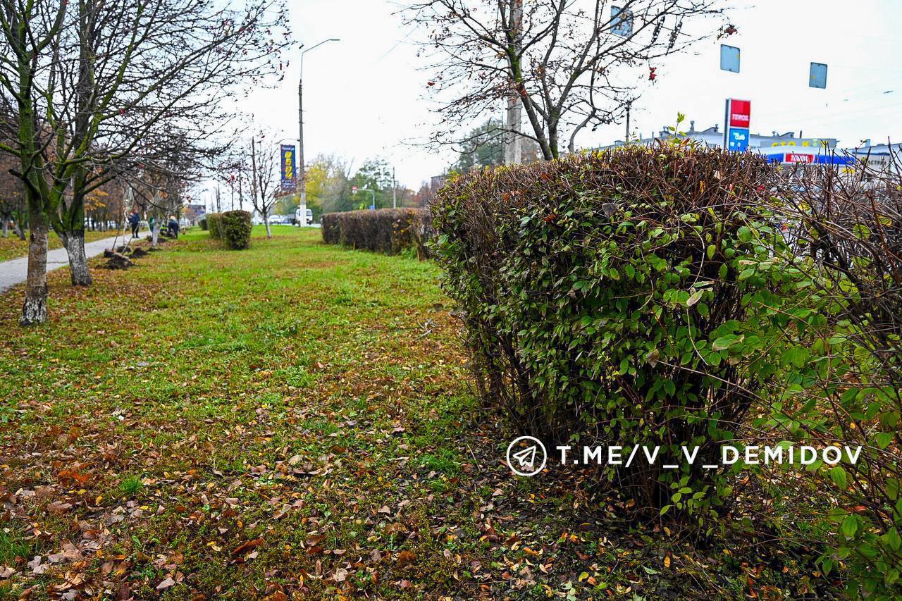 Облик города формирует его ландшафт и озеленение Облик города формирует его ландшафт и озеленение