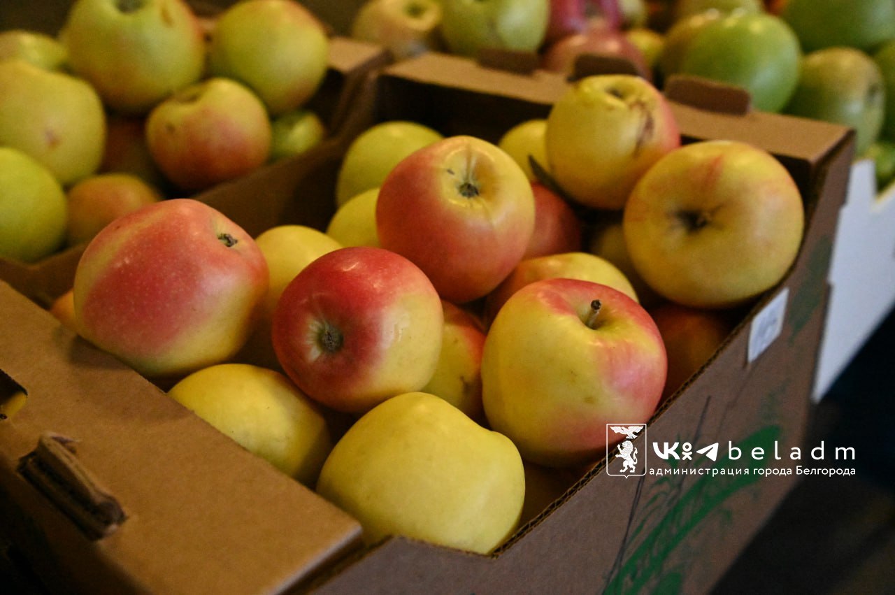 Традиционная ярмарка в областной столице пройдёт в воскресенье, 2 ноября, а не в субботу, как обычно Традиционная ярмарка в областной столице пройдёт в воскресенье, 2 ноября, а не в субботу, как обычно