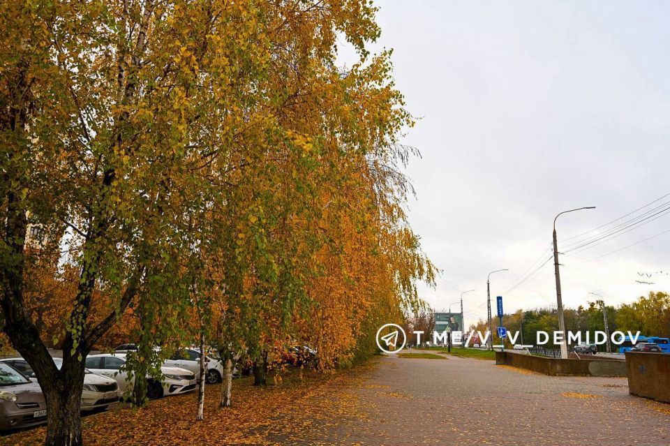 Облик города формирует его ландшафт и озеленение