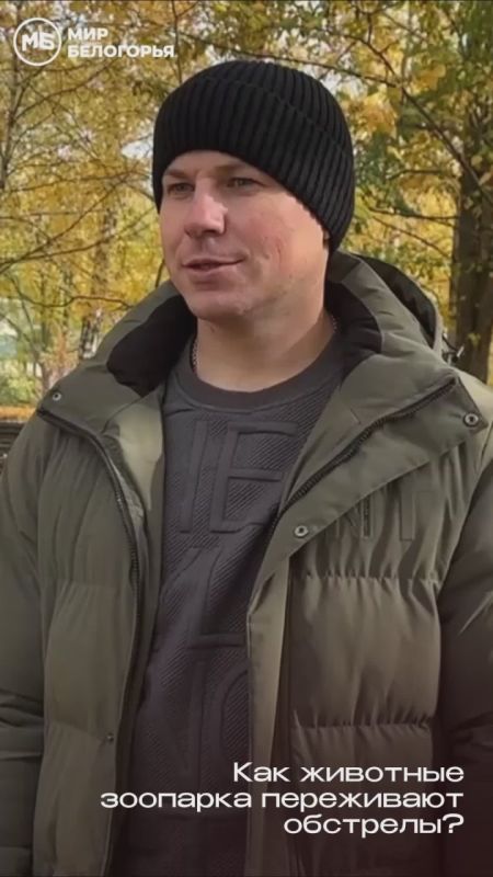 Львы встретили первые взрывы и сирены леденящим спокойствием, а павлины кричали от страха