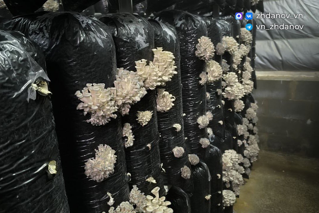 Глава администрации Старооскольского городского округа в рамках рабочей поездки посетил село Сорокино Глава администрации Старооскольского городского округа в рамках рабочей поездки посетил село Сорокино