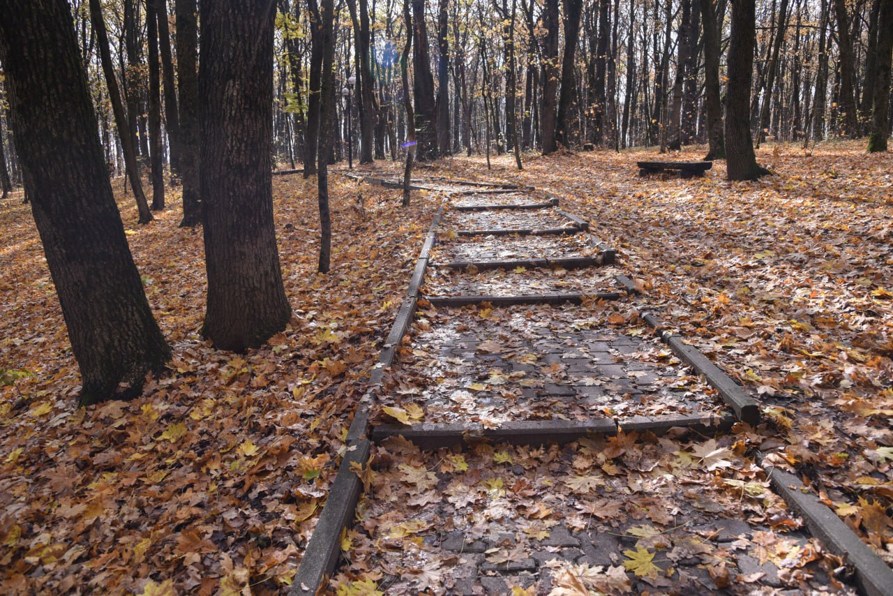 Пятница на «БелПрессе»!. Осень давно уже вступила в свои права, поэтому самое время замедлиться и рассмотреть её красоту Пятница на «БелПрессе»!. Осень давно уже вступила в свои права, поэтому самое время замедлиться и рассмотреть её красоту