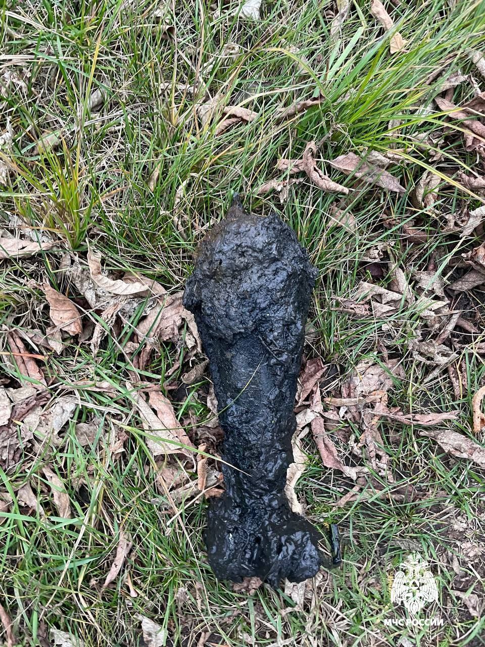 За прошедшие сутки на территории региона зарегистрировано 4 пожара, 1 из которых произошёл в жилом помещении За прошедшие сутки на территории региона зарегистрировано 4 пожара, 1 из которых произошёл в жилом помещении