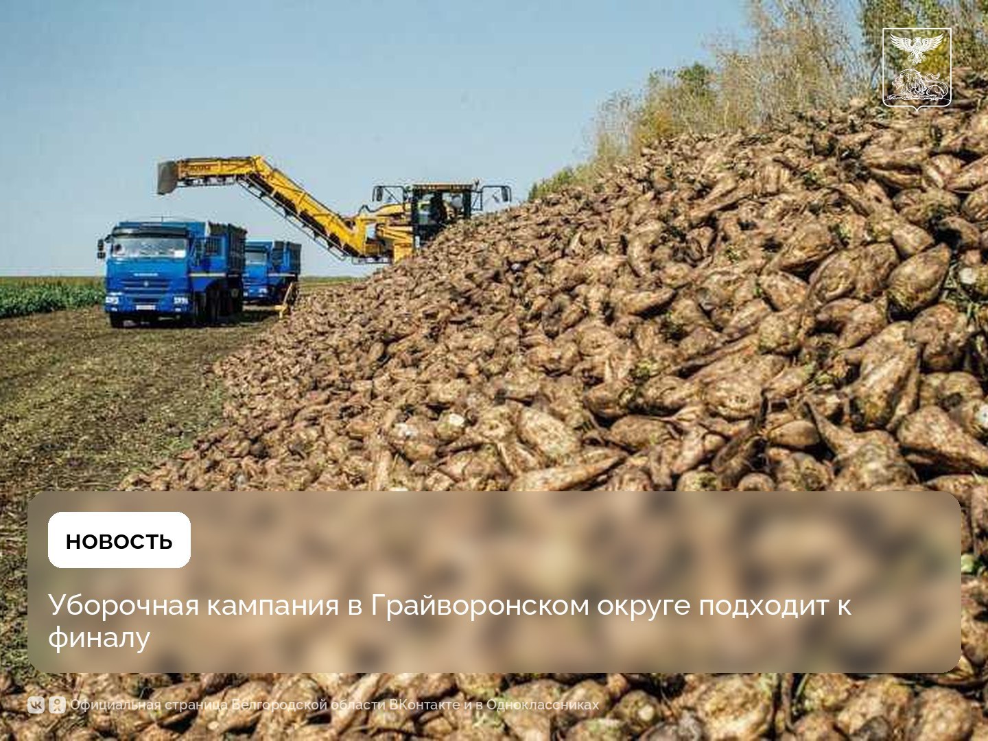 Уборочная кампания в Грайворонском округе подходит к финалу