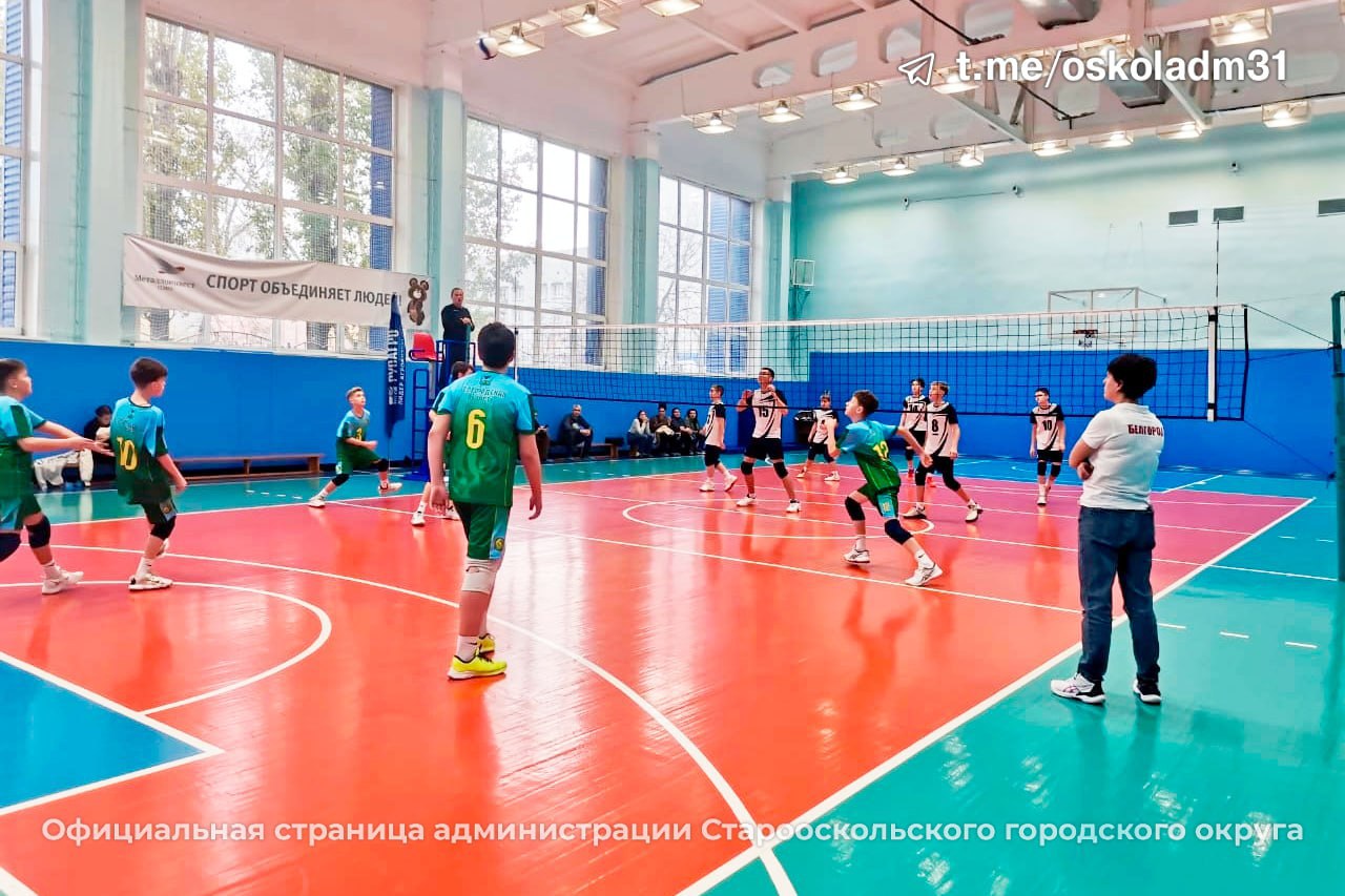Золото наше. В нашем городе, на базе СШОР «Молодость», завершилось Первенство Белгородской области по волейболу среди юношей 2013-2014 годов рождения Золото наше. В нашем городе, на базе СШОР «Молодость», завершилось Первенство Белгородской области по волейболу среди юношей 2013-2014 годов рождения