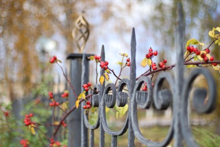 Погода 31 октября. Сегодня в Белгороде будет дождь