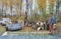 В Грайворонском округе активно ведется заготовка древесины, чтобы в случае ЧС обеспечить частные дома с печным отоплением