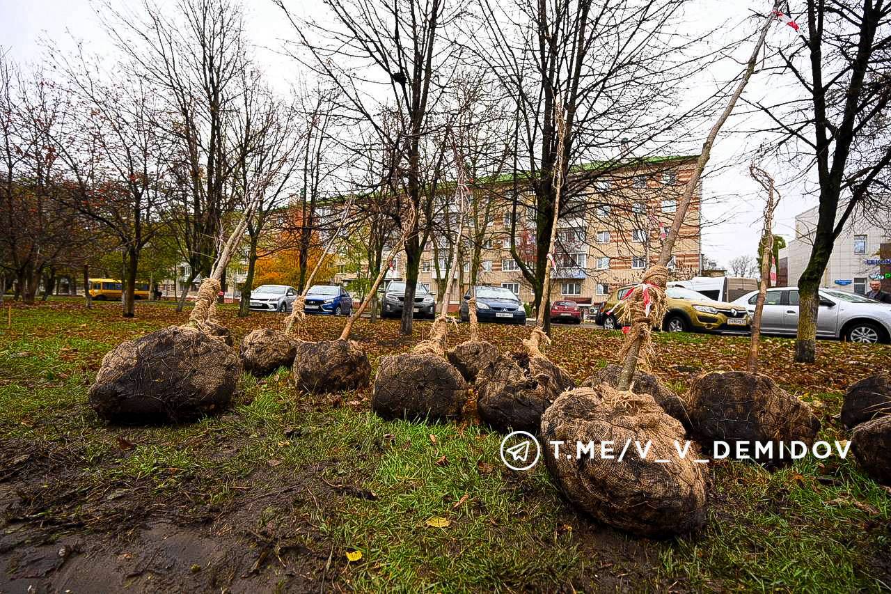 Валентин Демидов: Сегодня вместе с озеленителями и волонтёрами вышли на субботник — высаживали деревья и кустарники на проспекте Богдана Хмельницкого Валентин Демидов: Сегодня вместе с озеленителями и волонтёрами вышли на субботник — высаживали деревья и кустарники на проспекте Богдана Хмельницкого