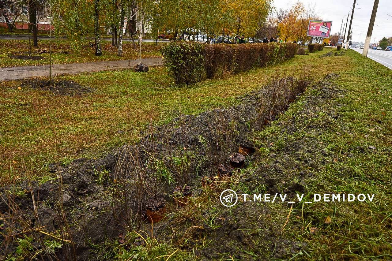 Валентин Демидов: Сегодня вместе с озеленителями и волонтёрами вышли на субботник — высаживали деревья и кустарники на проспекте Богдана Хмельницкого Валентин Демидов: Сегодня вместе с озеленителями и волонтёрами вышли на субботник — высаживали деревья и кустарники на проспекте Богдана Хмельницкого