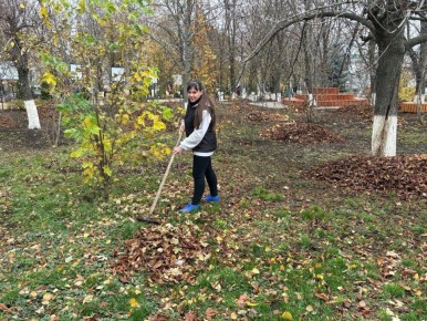 Более пятидесяти сотрудников администрации и профильных управлений муниципалитета приняли участие в субботнике