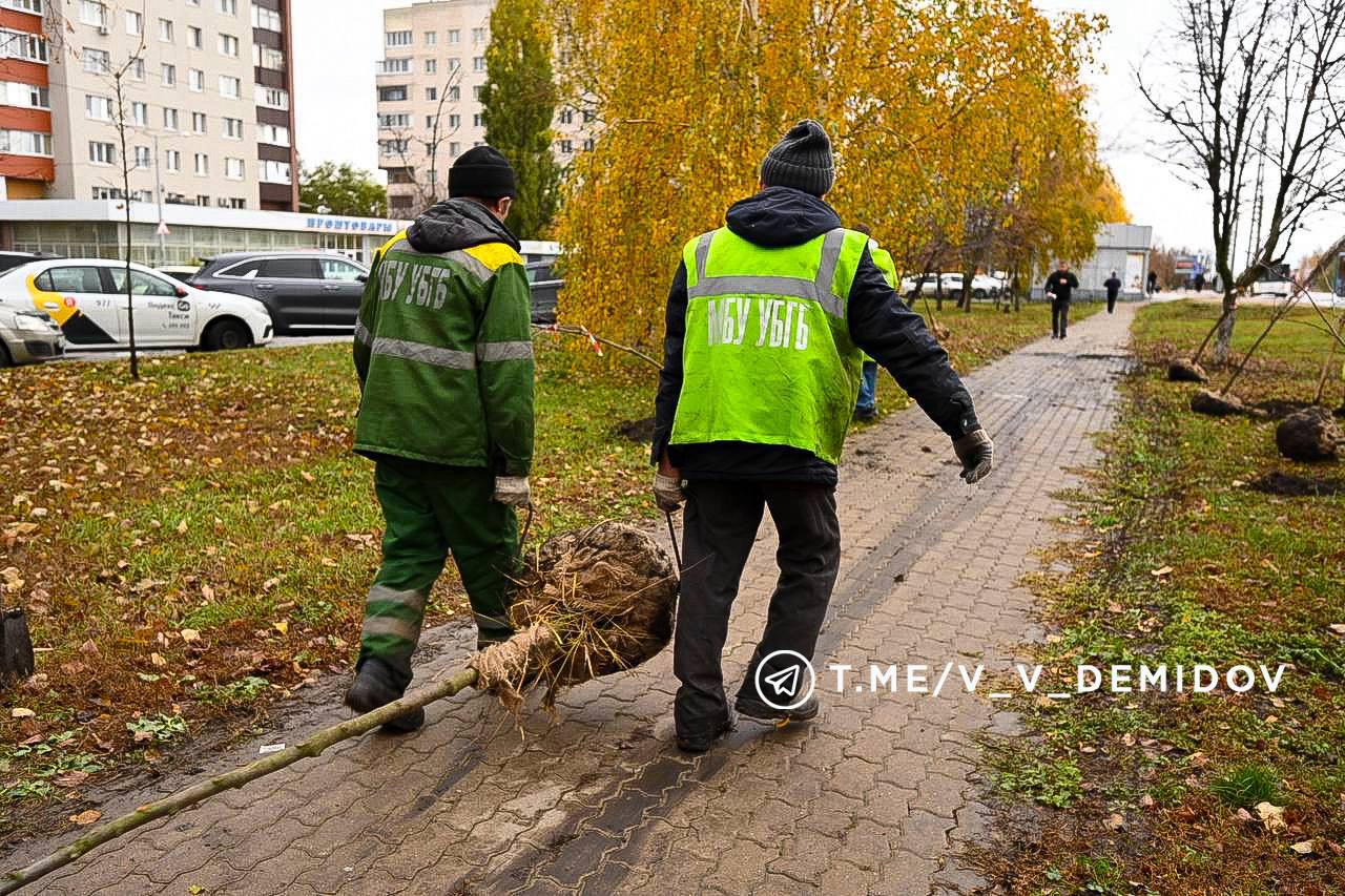 Валентин Демидов: Сегодня вместе с озеленителями и волонтёрами вышли на субботник — высаживали деревья и кустарники на проспекте Богдана Хмельницкого Валентин Демидов: Сегодня вместе с озеленителями и волонтёрами вышли на субботник — высаживали деревья и кустарники на проспекте Богдана Хмельницкого
