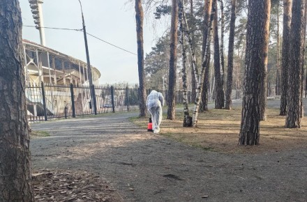 Причины неудач в борьбе с сорняками: как избежать распространенных ошибок