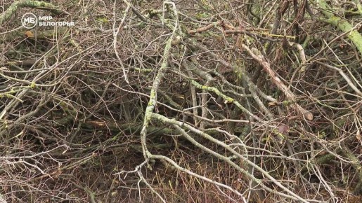 На фоне тревожных сводок в Белгородской области готовят топливный резерв на зиму