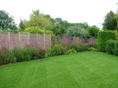 Почему август — идеальный месяц для заложения газона?