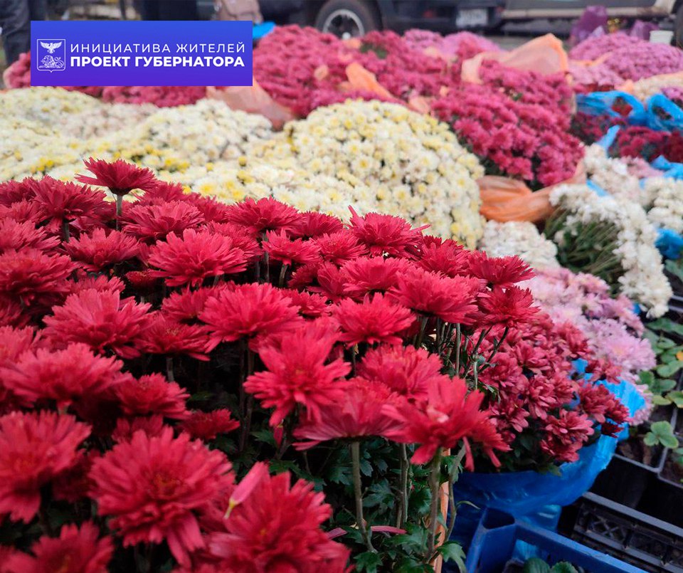 Праздничная ярмарка в нашем округе! Праздничная ярмарка в нашем округе!