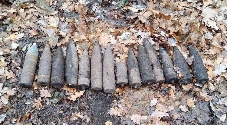 Под Белгородом нашли 14 боеприпасов времён Великой Отечественной войны