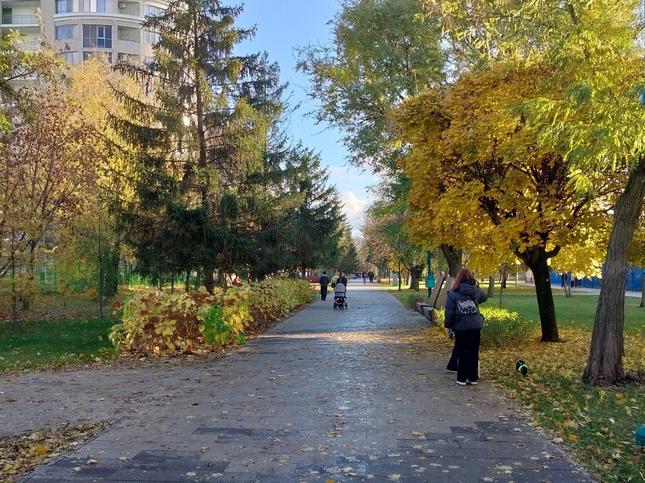 Сегодня, 3 ноября, нас ждёт переменная облачность