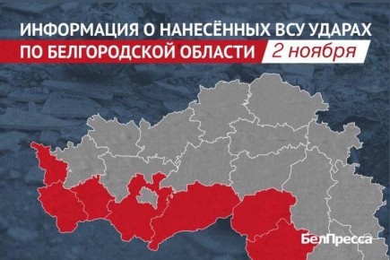 Один человек погиб и восемь пострадали при атаках ВСУ на Белгородскую область за сутки