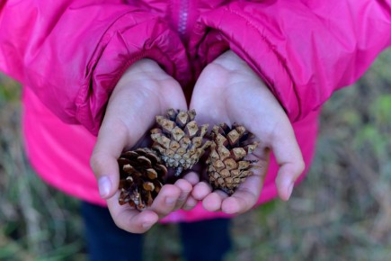 Доброе утро!. В Белгороде 3 ноября будет облачно