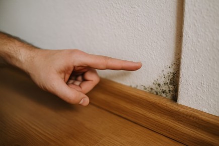 Как распознать плесень в доме: советы по предотвращению и борьбе