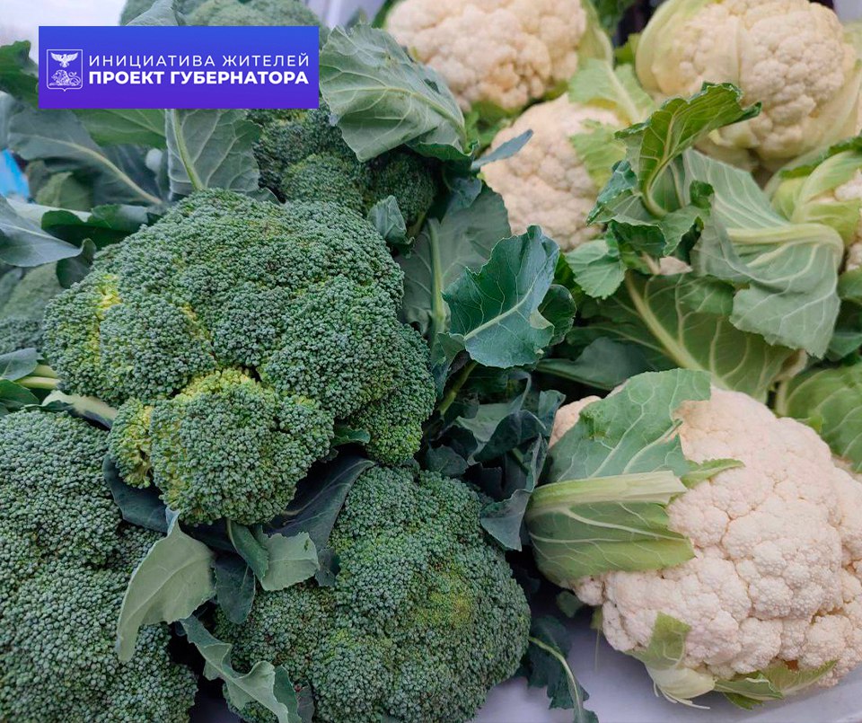 Праздничная ярмарка в нашем округе! Праздничная ярмарка в нашем округе!