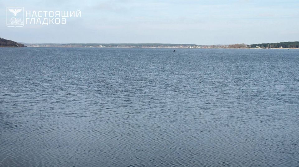 Вячеслав Гладков: Сегодня с рабочей поездкой в Шебекинском округе Вячеслав Гладков: Сегодня с рабочей поездкой в Шебекинском округе