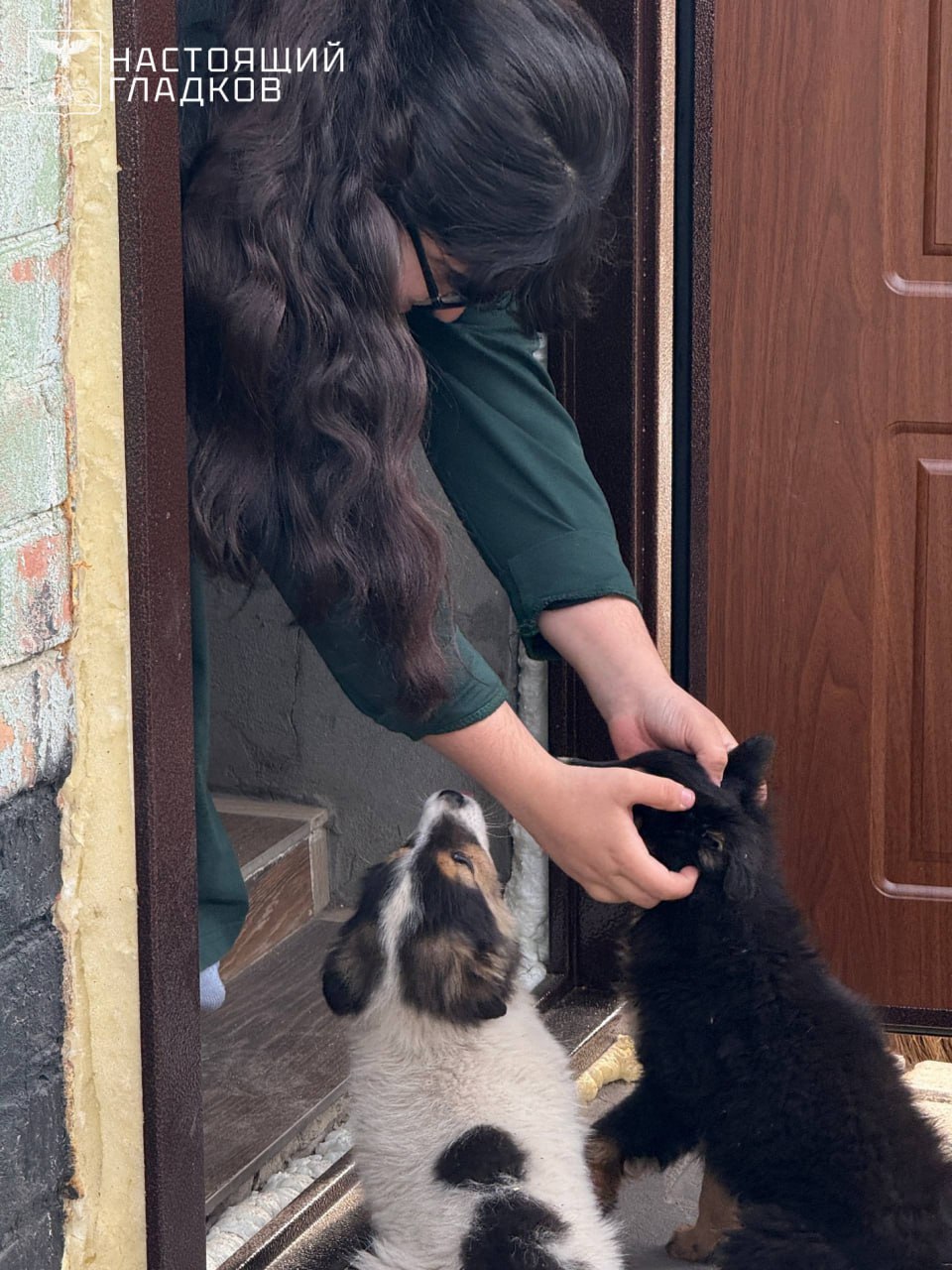 Вячеслав Гладков: Из Шебекино переехал в Новую Таволжанку Вячеслав Гладков: Из Шебекино переехал в Новую Таволжанку