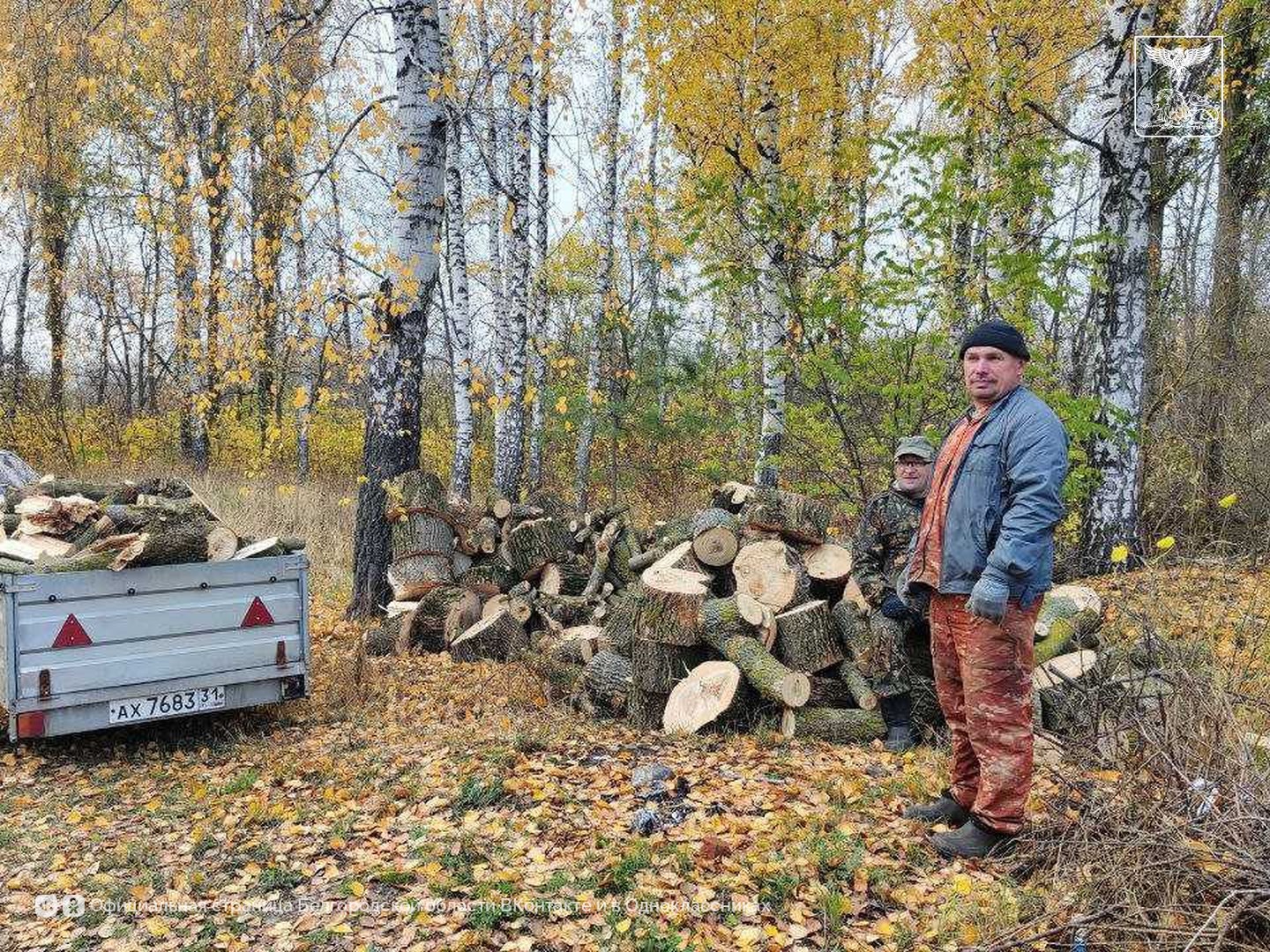В Грайворонском округе заготовили более 360 кубических метров древесины В Грайворонском округе заготовили более 360 кубических метров древесины