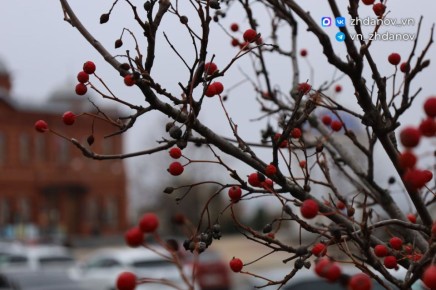 Владимир Жданов: Друзья, традиционно делюсь с вами ключевыми событиями минувшей недели
