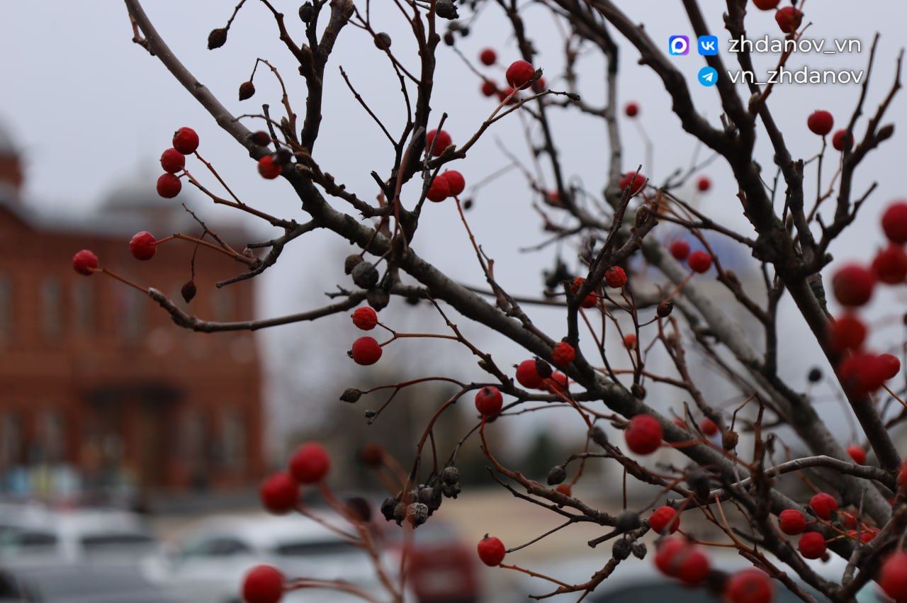 Владимир Жданов: Друзья, традиционно делюсь с вами ключевыми событиями минувшей недели