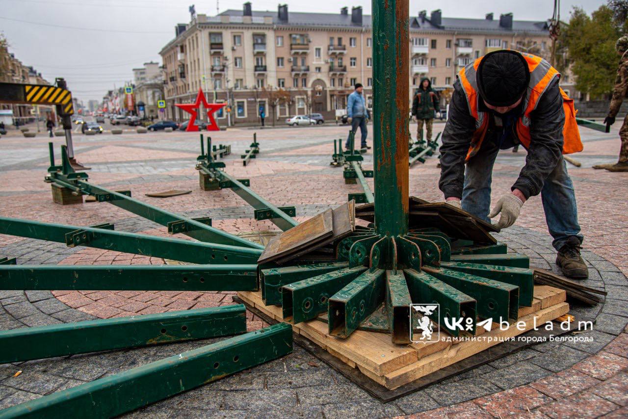 Праздник к нам приходит…. В Белгороде приступили к установке главной новогодней ели области Мэр Валентин Демидов сообщил что, специалисты монтируют металлический каркас