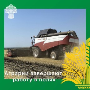 Татьяна Киричкова: В сельском хозяйстве Ровеньского района